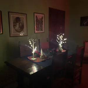 Guest house Casa Benvenuti, Pisa